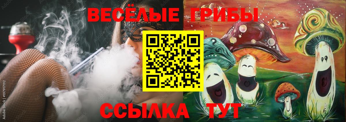 Чехов  Галлюциногенные грибы Psilocybine cubensis  Вход с VPN  Псилоцибиновые грибы мухоморы 