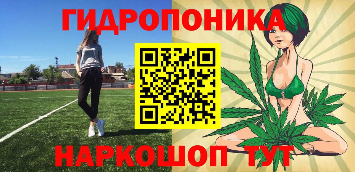 МАРИХУАНА конопля Чехов